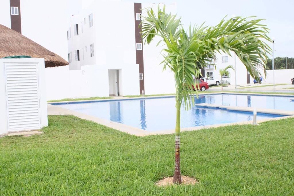 プレヤデルカーメンDepa De Playa C/Alberca Cerca De La 5A Avenidaアパートメント エクステリア 写真